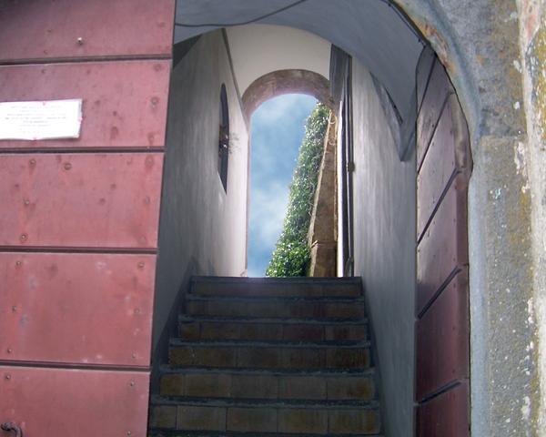 DSCN0976