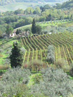 Tuscany